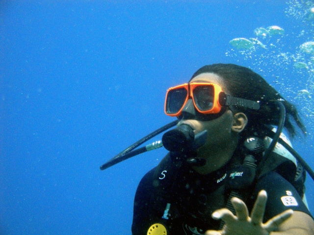 dive and snorkelling centre seo