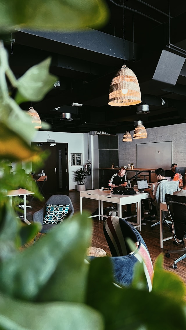 organic seo consultancy